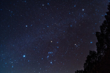 Wall Mural - stars in space