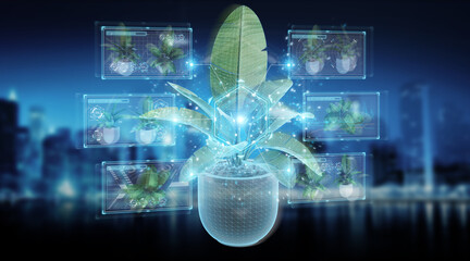 Fototapete - Holographic projection of a plant with digital analysis on blue background 3D rendering