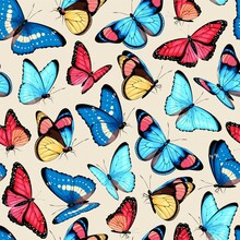 Vector Pattern With High Detailed Tropic Butterfly