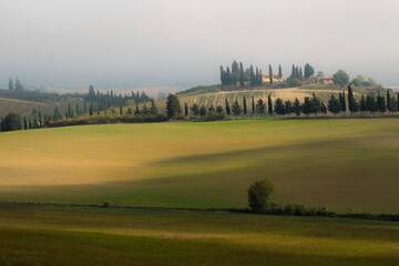 Poster - Italy, Tuscany. Misty countryside