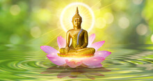 Buddha Statue Water Lotus Buddha Standing On Lotus Flower On Orange Background