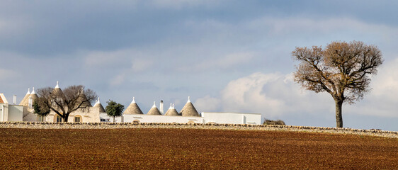 Poster - Several typical Trulli homes outside of the town of Alberobello.