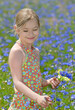 Little girl in a colorful dress on green field