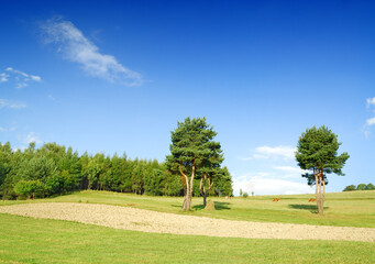 Wall Mural - landscape, tree on green field and the blue sky