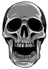 Sticker - monochromatic Realistic red skull. vector Illustration for designer on a white background.