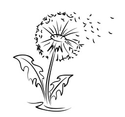 Sticker - A flower of a field dandelion with flying seeds.