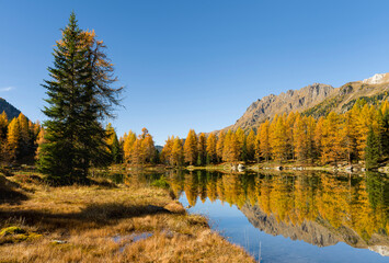 Poster - Lago San Pellegrino (Lech de San Pelegrin) during fall at Passo San Pellegrino in the Dolomites. Italy.