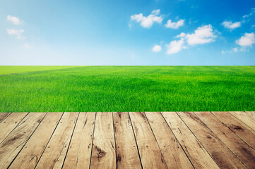 Wall Mural - top empty wood with green grass and blue sky background