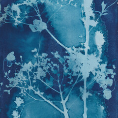 Wall Mural - Cyanotype sunprint of wildflowers, square, blues