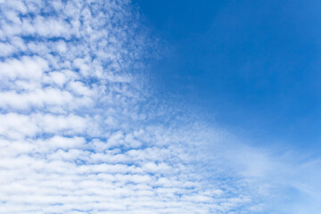 Wall Mural - beautiful white clouds covering thinly spread the sky on the blue of the sky background.