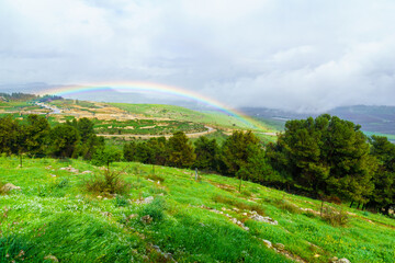 Wall Mural - Rainbow in the Kedesh valley, Upper Galilee