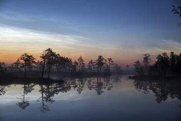 Poster - Mist-clad lake with the forest reflections in the water in Karula National Park, Estonia