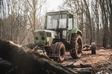 Wall Mural - Old green tractor with trailer loaded with logs. Forestry tractor or forestry tractor for harvesting wood in the forest