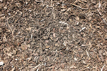 A Top Down View Of A Background Of Dirt On The Ground, Featuring Chunks Of Wood Chips And Bark.