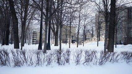 Wall Mural - City park in winter