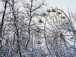 Wall Mural - City park and with a ferris wheel. Snow-covered trees, bushes and benches in the city park. Russia, Belorechensk, city park in winter.