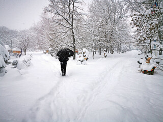 City park and running man with umbrella. Snow-covered trees, bushes and benches in the city park. Russia, Belorechensk, city park in winter.