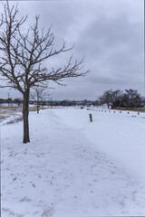 Wall Mural - White Rock Lake, Dallas, Texas.