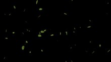 Abstract Green Beautiful Leaves Flying In The Wind In Space. Background Decoration. Isolated Black Background. 3d Illustration.