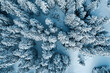 © chika_milan - Aerial view of frozen fir trees in forest at winter time.