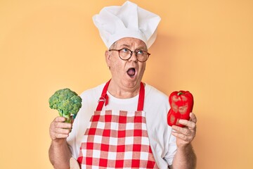 Canvas Print - Senior grey-haired man wearing professional cook apron holding broccoli and red pepper angry and mad screaming frustrated and furious, shouting with anger looking up.