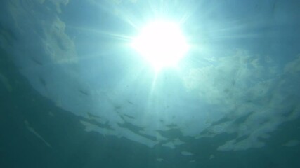 Poster - Through under water's Sun Light Rays glittering. Natural slow motion underwater scene 