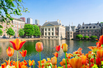 Wall Mural - city center of Den Haag, Netherlands