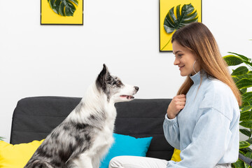 A teenage girl sits with her dog and interpreter's rules of conduct in a large bright living room at home. Intelligent Border Collie Sheepdog. Modern interior design of the apartment.