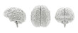 Grayscale human brain model from different sides isolated on white, 3d illustration
