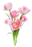 Fototapeta Tulipany - Bouquet of spring pink tulips flowers isolated on white background closeup. Flowers bunch in air, without shadow. Top view, flat lay.