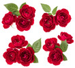 Collection of red roses isolated over white background. Set of different bouquet. Flat lay, top view..