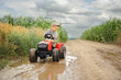 © Jacek - A farmer boy is driving a tractor through a corn field.