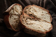 Sourdough loaves cut in halves