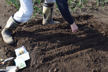 Wall Mural - This and that of the work in the vegetable garden. From soil preparation to harvesting.