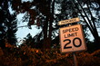 Park speed limit sign at dusk.