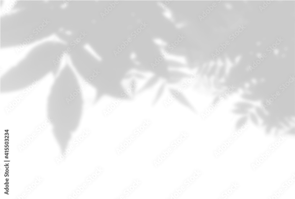 Summer background of plant shadows. Shadow of tree leaves on a white ...