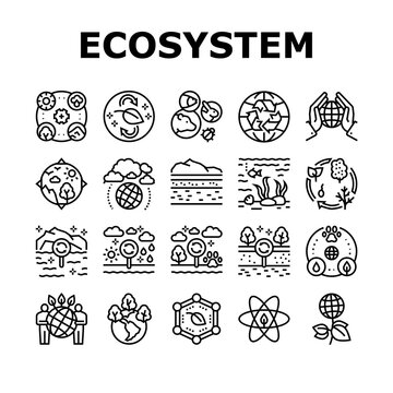 ecosystem environment collection icons set vector. ecosystem and ecology, biodiversity and life cycl