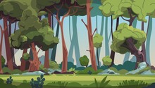 Forest Landscape. Cartoon Dense Wood With Green Foliage And Strong Tree Trunks. Scenic Grassy Meadow With Stones Illuminated By Sun's Rays. Panoramic Natural Scape Background. Vector Wild Flora