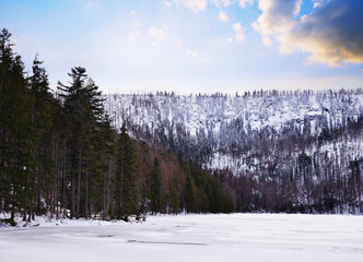 Poster - Winter landscape in the Bohemian Forest. Black lake (Cerne jezero), National park Sumava, Czech Republic.