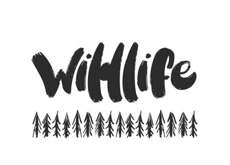 Fototapete - Vector illustration: Handwritten furry brush lettering of Wildlife with hand drawn pine forest.