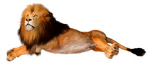 3D Rendering Male Lion On White