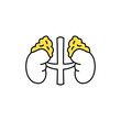 Human organs adrenal glands color line icon. Pictogram for web page, mobile app