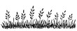 © MaxNadya - Hand-drawn simple vector drawing in black outline. Wild meadow grasses, wildflowers, spikelets, inflorescences. Lawn, herbal plants, banner.