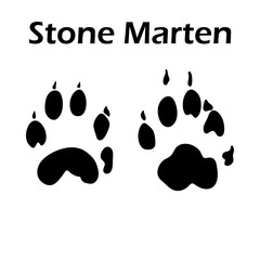 Canvas Print - Stone Marten Footprint