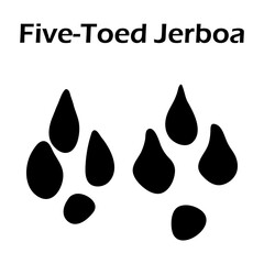 Canvas Print - Five-Toed Jerboa Footprint