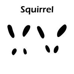 Sticker - Squirrel Footprint