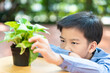 © TinPong - Asian boy looking at young plant