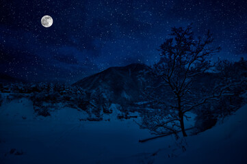 Wall Mural - Mountain Road through the snowy forest on a full moon night. Scenic night winter landscape of dark blue sky with moon and stars