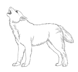 Black and white digital illustration of a standing howling wolf