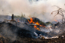 illegal-dump-environmental-damage-free-stock-photo-public-domain-pictures